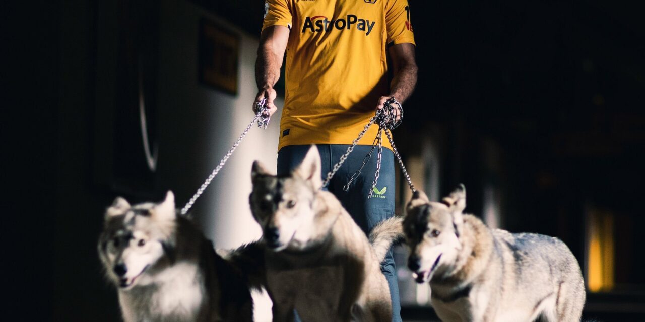 El escalofriante relato de Diego Costa sobre su presentación con lobos en el Wolverhampton